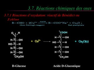 3.7. Réactions chimiques des oses 
3.7.1 Réactions d’oxydation: réactif de Bénédict ou 
Fehling 
D-Glucose Acide D-Gluconique 
 
