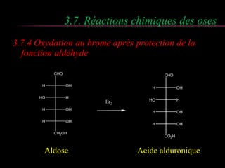 3.7. Réactions chimiques des oses 
3.7.4 Oxydation au brome après protection de la 
fonction aldéhyde 
Aldose Acide alduronique 
 