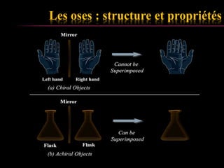 Les oses : structure et propriétés 
 