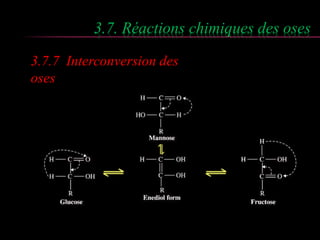 3.7. Réactions chimiques des oses 
3.7.7 Interconversion des 
oses 
 
