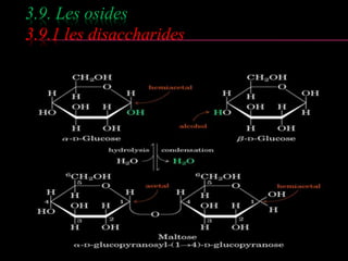 3.9. Les osides 
3.9.1 les disaccharides 
 