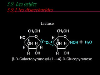 3.9. Les osides 
3.9.1 les disaccharides 
 