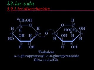 3.9. Les osides 
3.9.1 les disaccharides 
 