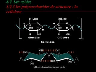 3.9. Les osides 
3.9.3 les polysaccharides de structure : la 
cellulose 
 