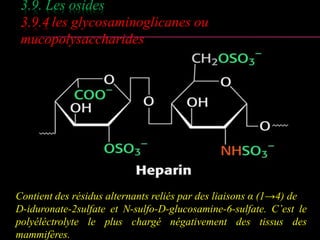 3.9. Les osides 
3.9.4 les glycosaminoglicanes ou 
mucopolysaccharides 
Contient des résidus alternants reliés par des liaisons α (1→4) de 
D-iduronate-2sulfate et N-sulfo-D-glucosamine-6-sulfate. C’est le 
polyéléctrolyte le plus chargé négativement des tissus des 
mammifères. 
 