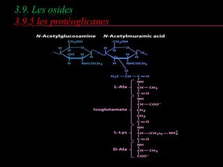 3.9. Les osides 
3.9.5 les protéoglicanes 
 