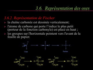 3.6. Représentation des oses 
3.6.2. Représentation de Fischer 
 la chaîne carbonée est dessinée verticalement; 
 l'atome de carbone qui porte l’indice le plus petit 
(porteur de la fonction carbonyle) est placé en haut ; 
 les groupes sur l'horizontale pointent vers l'avant de la 
feuille de papier. 
 