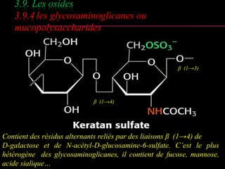 3.9. Les osides 
3.9.4 les glycosaminoglicanes ou 
mucopolysaccharides 
β (1→4) 
β (1→3) 
Contient des résidus alternants ...