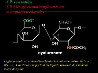 3.9. Les osides 
3.9.4 les glycosaminoglicanes ou 
mucopolysaccharides 
D-glucoronate et et N-acétyl-D-galactosamine en li...