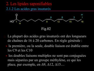 2. Les lipides saponifiables
2.1.2 Les acides gras insaturés
 La plupart des acides gras insaturés ont des longueurs
de chaînes de 16 à 20 carbones. En règle générale :
 la première, ou la seule, double liaison est établie
entre les C9 et les C10
 les doubles liaisons multiples ne sont pas conjuguées
mais séparées par un groupe méthylène, ce qui les
place, par exemple, en ∆9, ∆12, ∆15…
 