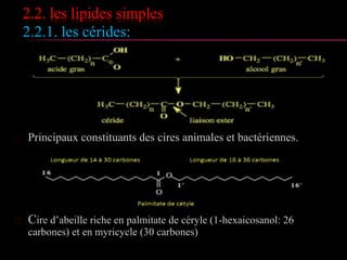2.2. les lipides simples
2.2.1. les glycérides: propriétés chimiques
 Réaction de saponification
 Hydrolyse chimique
Le traitement acide libère les constituants : les acides
gras et du glycérol mais en général de façon
incomplète.
 