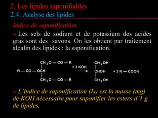 2.3. les lipides complexes
2.3. 3. les sphingolipides
Selon la nature de X on distingue
 H → Céramides
 Phosphate → Céramides-1-phosphate
 Phosphocholine → Sphingomyélines
 Ose → Cérébrosides
Oses → globosides
 Oses + acide sialique → gangliosides
 