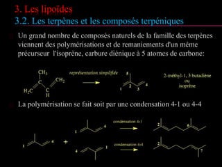 3. Les lipoïdes
3.2. Les terpènes et les composés terpéniques
 Un grand nombre de composés naturels de la famille des terpènes
viennent des polymérisations et de remaniements d'un même
précurseur l'isoprène, carbure diénique à 5 atomes de carbone:
 La polymérisation se fait soit par une condensation 4-1 ou 4-4
 