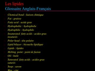 Les lipides
Glossaire Anglais-Français
 Chemical bond : liaison chimique
 Fat : graisse
 Fatty acid : acide gras
 Hydrophobic : hydrophobe
 Hydrophilic : hydrophile
 Insaturated fatty acids : acides gras insaturés
 Polar head : tête polaire
 Lipid bilayer : bicouche lipidique
 Lipids : lipides
 Melting point : point de fusion
 Oil : huile
 Saturated fatty acids : acides gras saturés
 Soap : savon
 Wax : cire
 
