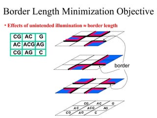 Border Length Minimization Objective Effects of unintended illumination    border length A A A A A C C C C C C G  G  G G G G  border CG  AC  CG  AC  ACG AG  G  AG  C  