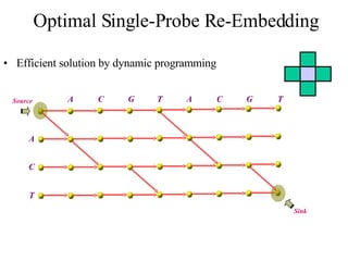 Efficient solution by dynamic programming Optimal Single-Probe Re-Embedding A C T A C G T A C G T Source Sink 