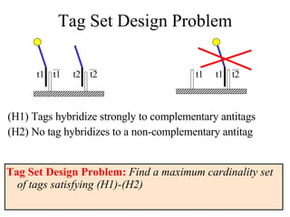 Tag Set Design Problem (H1) Tags hybridize strongly to complementary antitags (H2) No tag hybridizes to a non-complementary antitag t1 t1 t2 t2 t1 t2 t1 Tag Set Design Problem:  Find a maximum cardinality set of tags satisfying (H1)-(H2) 