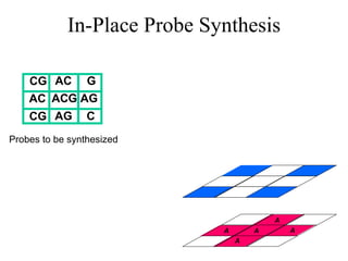 In-Place Probe Synthesis CG  AC  CG  AC  ACG AG  G  AG  C  Probes to be synthesized A A A A A 