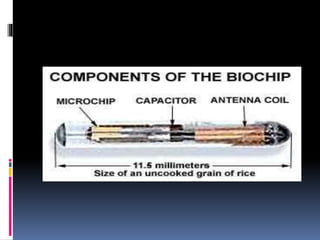 Biochip | PPT