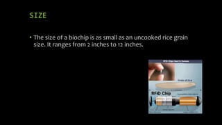 SIZE
• The size of a biochip is as small as an uncooked rice grain
size. It ranges from 2 inches to 12 inches.
 