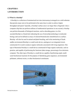 Bio Chip Project Report | DOC | Chemistry | Science