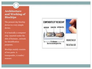 Bio-chips(A technology for the future) | PPTX