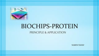 BIOCHIPS-PROTEIN
PRINCIPLE & APPLICATION
NAREN YADAV
 