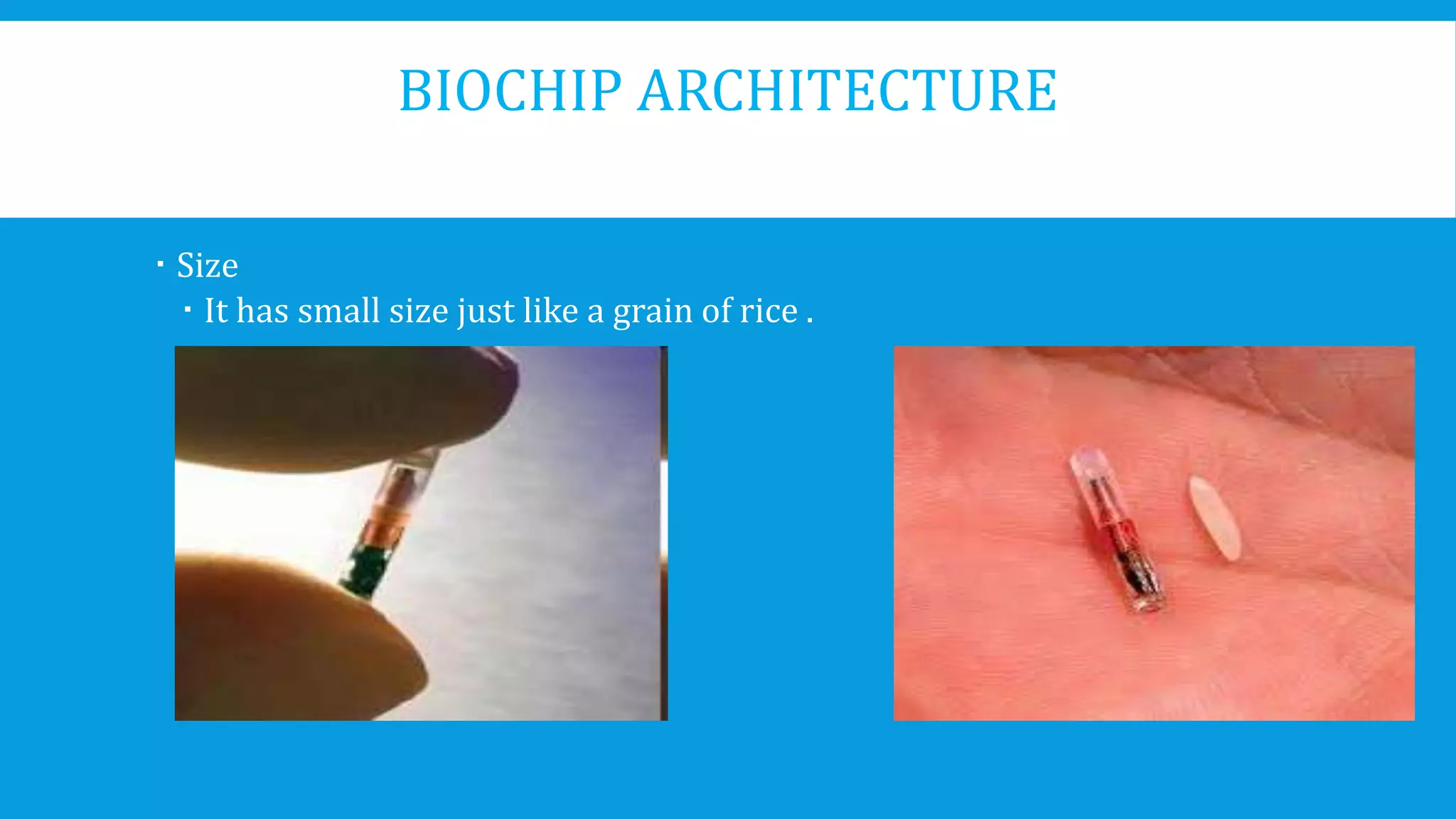BIOCHIP ARCHITECTURE
 Size
 It has small size just like a grain of rice .
 