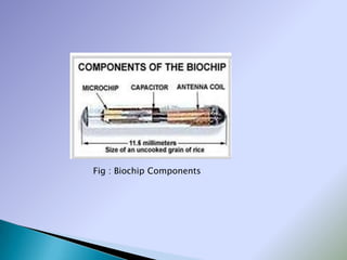 Fig : Biochip Components
 