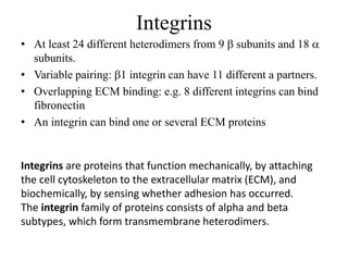 Integrin Subtypes The Extracellular matrix | PPTX