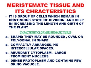 MERISTEMATC TISSUE AND
ITS CHRACTERISTICS
• IT IS GROUP OF CELLS WHICH REMAIN IN
CONTINIOUS STATE OF DIVISION AND HELP
IN INCREASING THE LENGTH AND GIRTH OF
THE PLANT.
CHRACTERISTICSOF MERISTEMATICTISSUE
a. SHAPE: THEY MAY BE ROUNDED , OVAL OR
POLYGONAL IN SHAPE.
b. COMPACTLY ARRANGED, NO
INTERCELLULAR SPACES.
c. ABUNDANT CYTOPLASM, LARGE
PROMINENT NUCLEUS
d. DENSE PROTOPLASM AND CONTAINS FEW
OR NO VACUOLE.
 