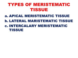 TYPES OF MERISTEMATIC
TISSUE
a. APICAL MERISTEMATIC TISSUE
b. LATERAL MARISTEMATIC TISSUE
c. INTERCALARY MERISTEMATIC
TISSUE
 