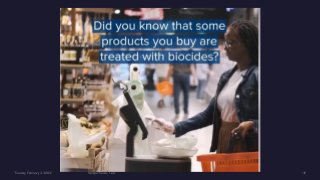 Biocide consultant-directory