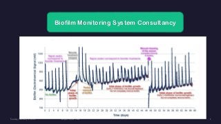 Biofilm Monitoring System Consultancy
 