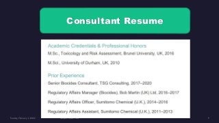 Consultant Resume
 