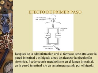 EFECTO DE PRIMER PASO
Después de la administración oral el fármaco debe atravesar la
pared intestinal y el hígado antes de alcanzar la circulación
sistémica. Puede ocurrir metabolismo en el lumen intestinal,
en la pared intestinal y/o en su primera pasada por el hígado.
 