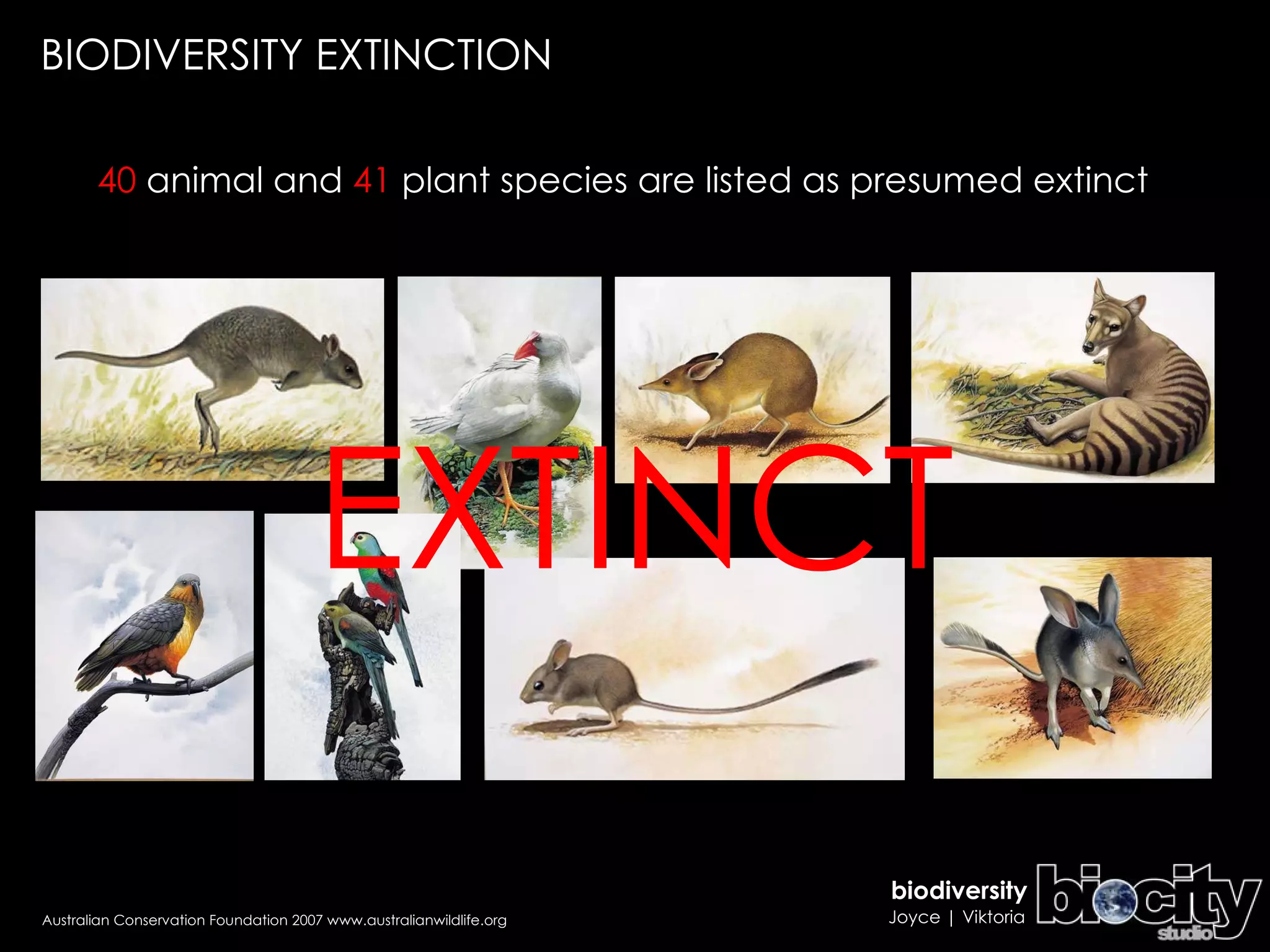 Australian Conservation Foundation 2007 www.australianwildlife.org EXTINCT BIODIVERSITY EXTINCTION 40  animal and  41  plant species are listed as presumed extinct  
