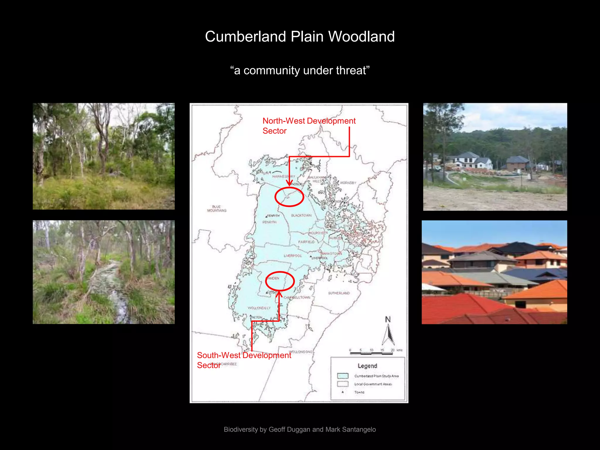 Biodiversity by Geoff Duggan and Mark SantangeloSource: Benson,D & Howell,J. 1990 