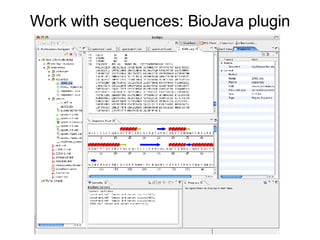 Work with sequences: BioJava plugin 