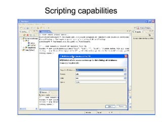 Scripting capabilities 