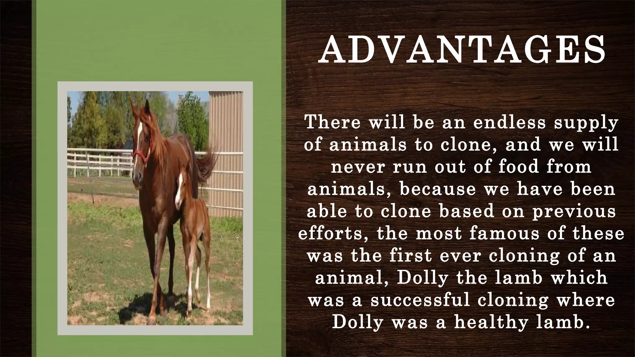 ADVANTAGES
There will be an endless supply
of animals to clone, and we will
never run out of food from
animals, because we have been
able to clone based on previous
efforts, the most famous of these
was the first ever cloning of an
animal, Dolly the lamb which
was a successful cloning where
Dolly was a healthy lamb.
 