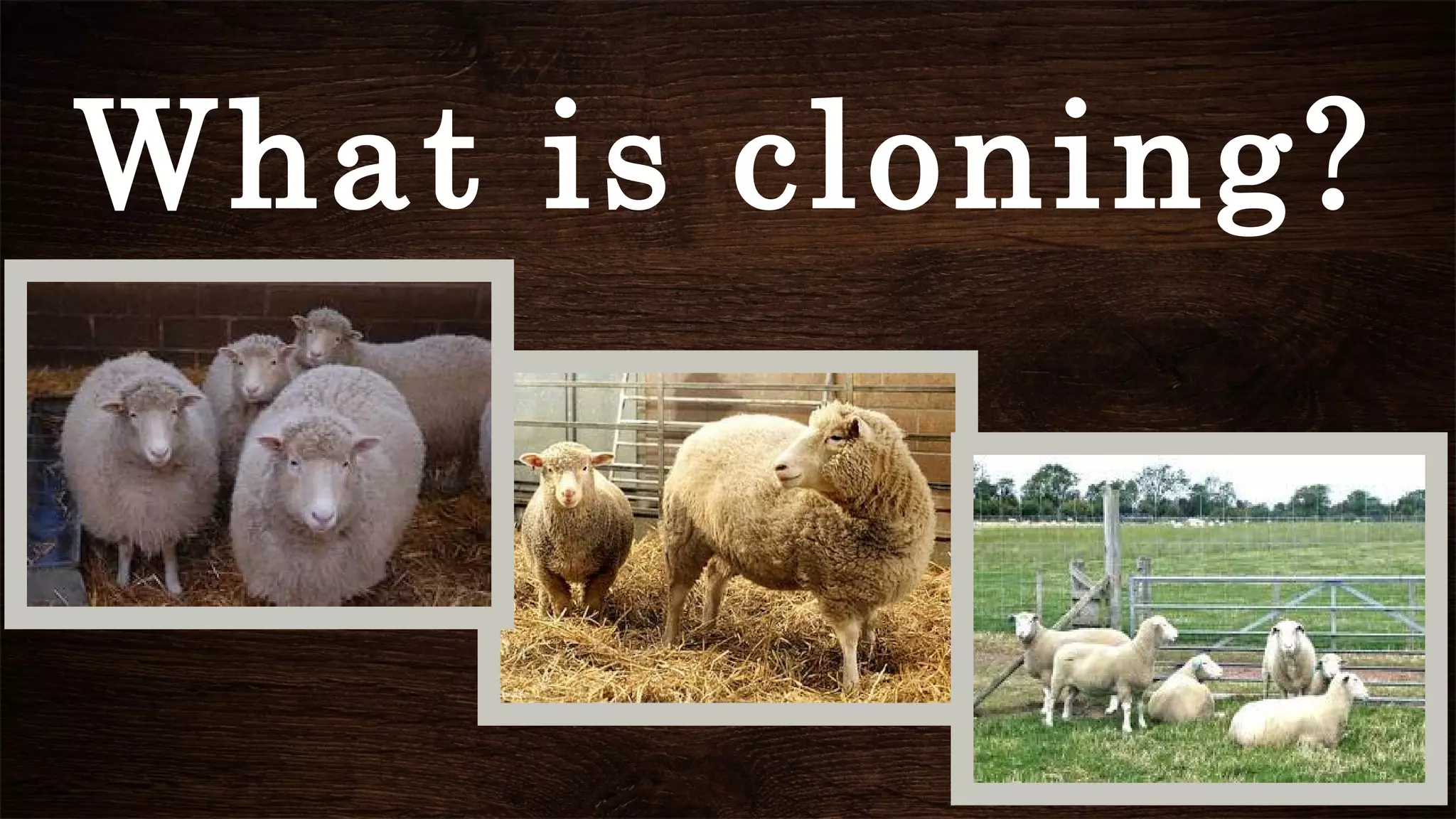 What is cloning?
 