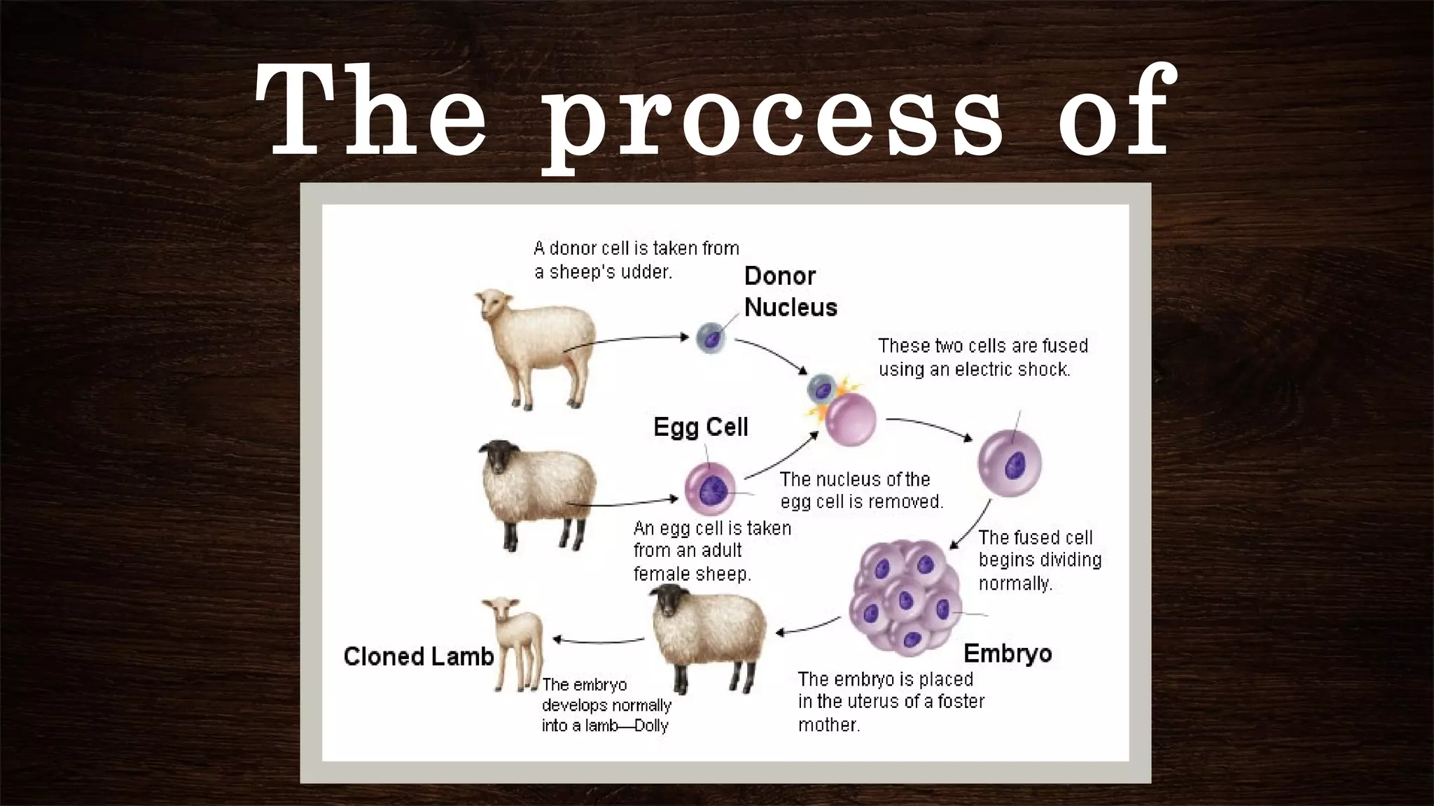 The process of
cloning
 