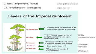 Community Spatial Structure Biocoenosis-Community-Spatial-Morphological-Structure.pptx