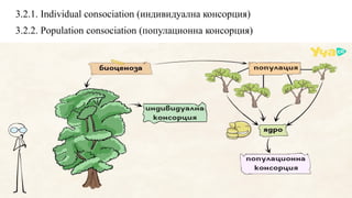 Community Spatial Structure Biocoenosis-Community-Spatial-Morphological-Structure.pptx