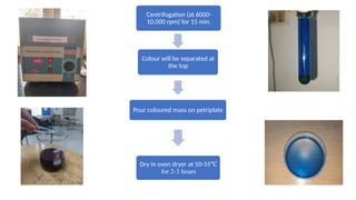 Biocolours full explained presentation.pptx
