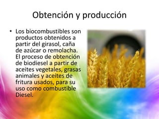 Obtención y producción
• Los biocombustibles son
  productos obtenidos a
  partir del girasol, caña
  de azúcar o remolacha.
  El proceso de obtención
  de biodiesel a partir de
  aceites vegetales, grasas
  animales y aceites de
  fritura usados, para su
  uso como combustible
  Diesel.
 