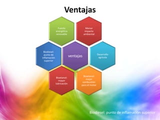 Ventajas
                Fuente                   Menor
              energética                impacto
              renovable                ambiental




 Biodiesel:
  punto de                                         Desarrollo
inflamación
                            ventajas                agrícola
  superior




                                     Bioetanol:
               Bioetanol:
                                       mejor
                 mayor
                                    combustión
              lubricación
                                   para el motor




                                           Biodiesel: punto de inflamación superior
 