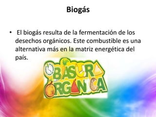 Biogás

• El biogás resulta de la fermentación de los
  desechos orgánicos. Este combustible es una
  alternativa más en la matriz energética del
  país.
 