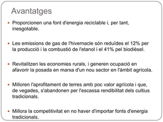Avantatges
 Proporcionen una font d'energia reciclable i, per tant,
inesgotable.
 Les emissions de gas de l'hivernacle són reduïdes el 12% per
la producció i la combustió de l'etanol i el 41% pel biodièsel.
 Revitalitzen les economies rurals, i generen ocupació en
afavorir la posada en marxa d'un nou sector en l'àmbit agrícola.
 Milloren l'aprofitament de terres amb poc valor agrícola i que,
de vegades, s'abandonen per l'escassa rendibilitat dels cultius
tradicionals.
 Millora la competitivitat en no haver d'importar fonts d'energia
tradicionals.
 